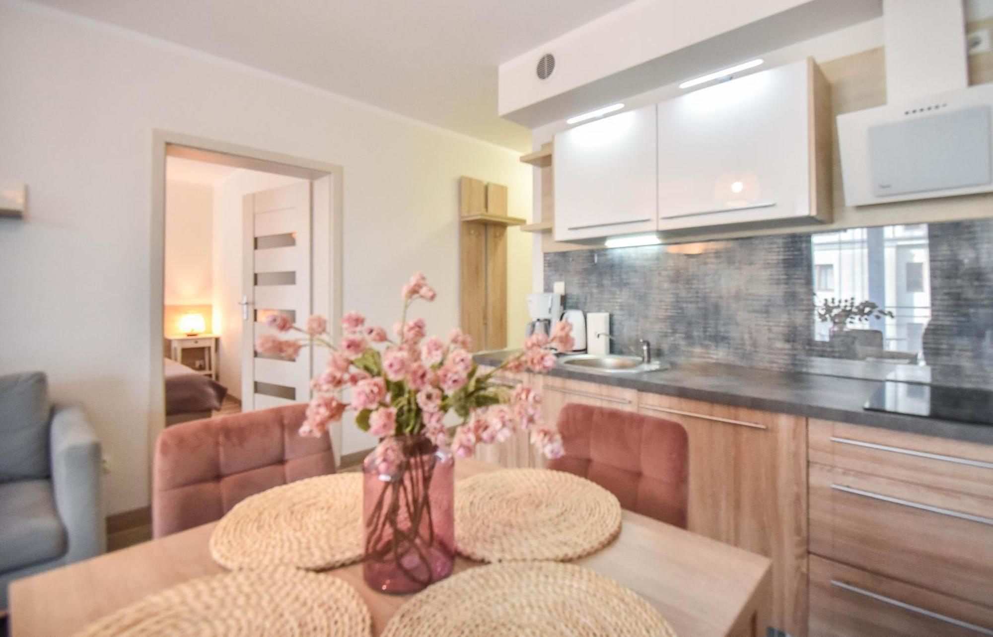 Apartamenty Na Wyspie - Villa Pegaz - Parking Svinoústí Exteriér fotografie